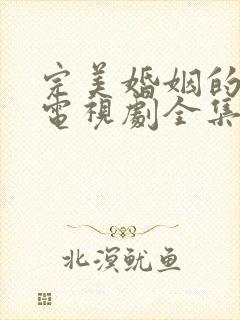 完美婚姻的定式电视剧全集免费观看封面