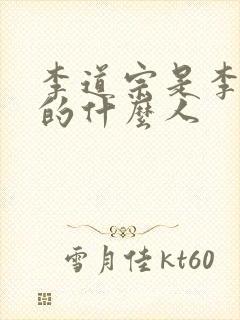 李道宗是李世民的什么人封面