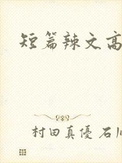 短篇辣文高h
