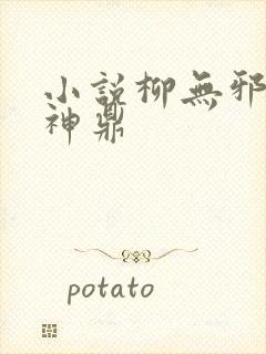 小说柳无邪吞天神鼎