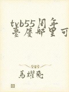 tvb55周年台庆哪里可以看