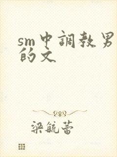 sm中调教男m的文