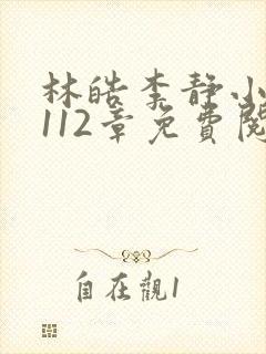 林皓李静小说1112章免费阅读