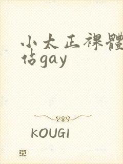 小太正裸体黄网站gay