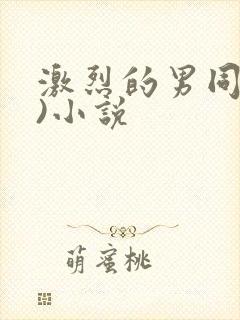 激烈的男同(h)小说