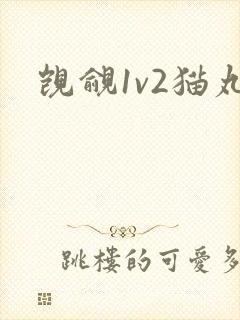 觊觎1v2猫丸封面