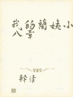 我的兰姨小说第八章封面