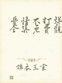 爱情不打烊短剧全集免费观看高清版