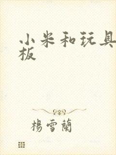 小米和玩具店老板