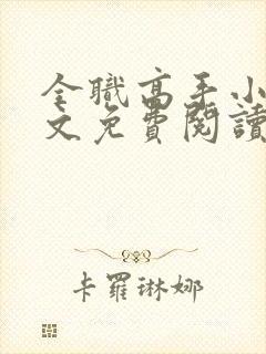 全职高手小说全文免费阅读无弹窗