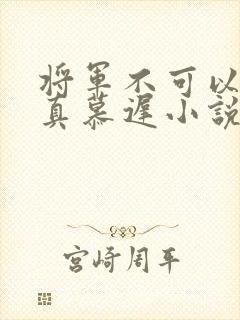 将军不可以魏云真慕迟小说笔趣阁