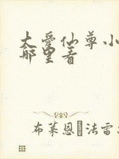 大爱仙尊小说在哪里看