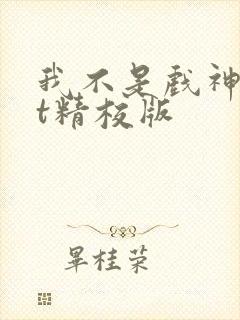 我不是戏神txt精校版