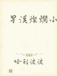 星汉灿烂小说