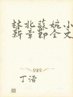 林北苏婉小说最新章节全文阅读