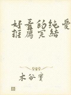 好看的纯爱小说推荐完结封面