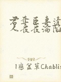 君夺臣妻清冷美人夜夜沦陷了免费阅读