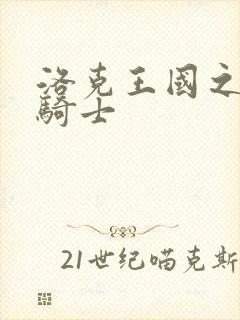 洛克王国之圣龙骑士封面