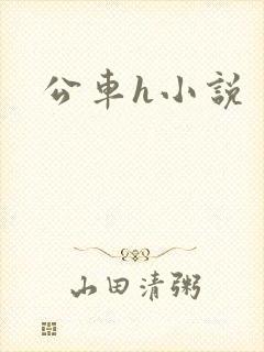 公车h小说