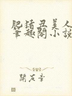 肥猪丑美人雌堕笔趣阁小说封面