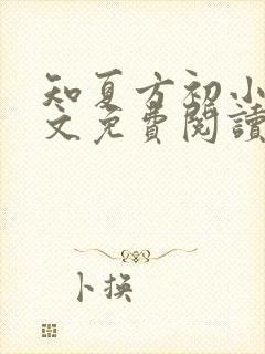 知夏方初小说全文免费阅读最新章节