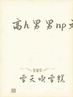 高h男男np文