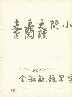 夫妻之间小说免费阅读封面