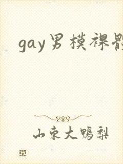 gay男模裸体