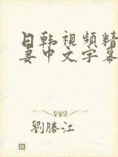 日韩视频精品人妻中文字幕