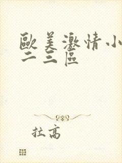 欧美激情小说一二三区