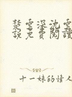 楚云深沈云舒小说免费阅读最新章节封面