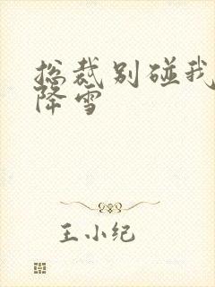 总裁别碰我 韩降雪