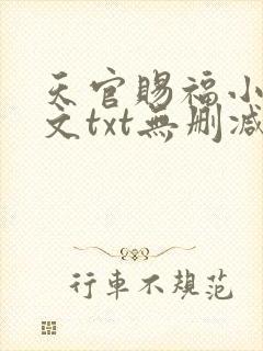 天官赐福小说全文txt无删减下载