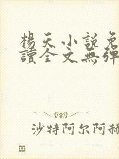 杨天小说免费阅读全文无弹窗