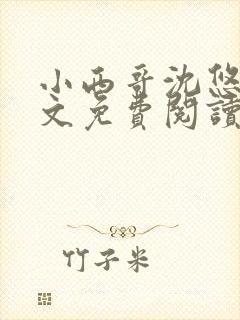 小西哥沈悠然全文免费阅读笔趣阁