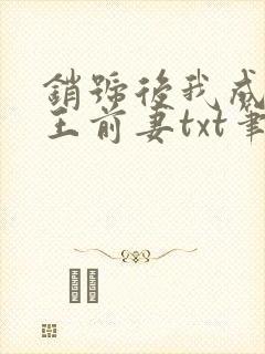 销号后我成了帝王前妻txt笔趣阁封面