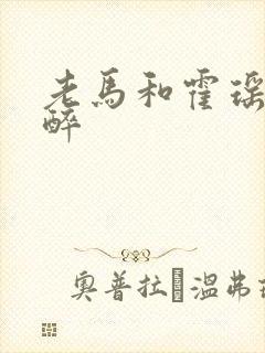 老马和霍瑶瑶喝醉