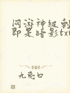 网游神级刺客我即是暗影txt封面