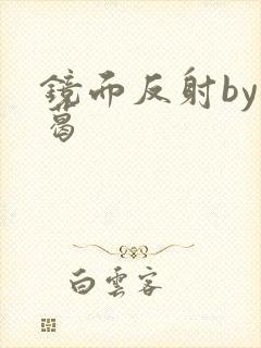 镜面反射by九葛