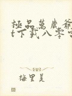 极品万岁爷txt下载八零电子书