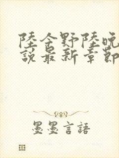 陆今野陆晚笙小说最新章节更新