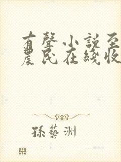 有声小说至尊小农民在线收听