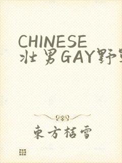 CHINESE壮男GAY野战强迫TUBE封面