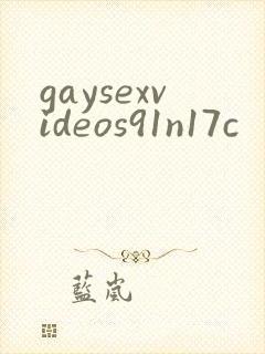 gaysexvideos91n17c