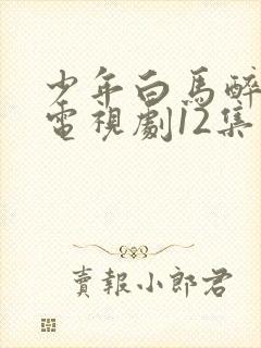 少年白马醉春风电视剧12集免费播放在线封面