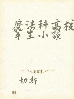 魔法科高校的劣等生小说封面