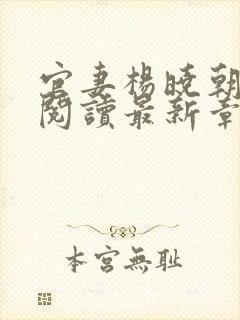 官妻杨晓朝免费阅读最新章节