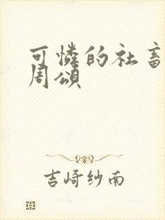 可怜的社畜商野周颂