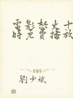 电影怒火十二小时免费播放在线观看