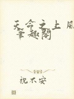 天命之上 风月 笔趣阁封面